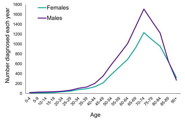 A chart of non-Hodgkin lymphoma diagnoses 