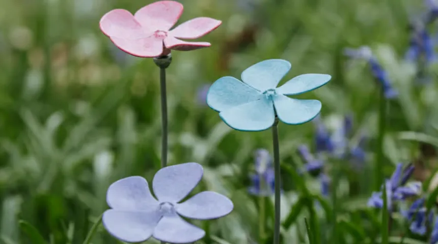 Three flowers of different colours among grass