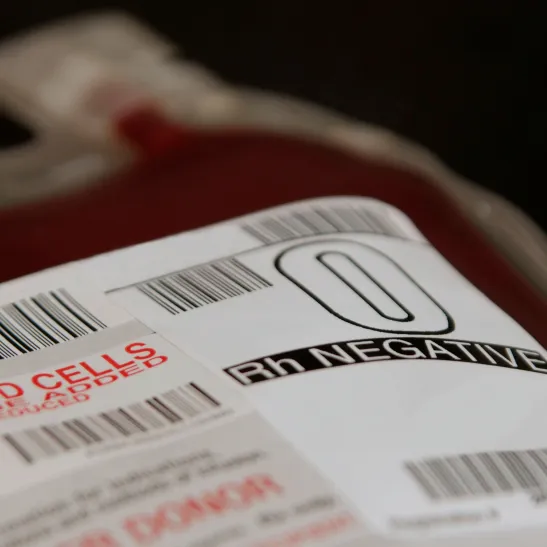 Blood 